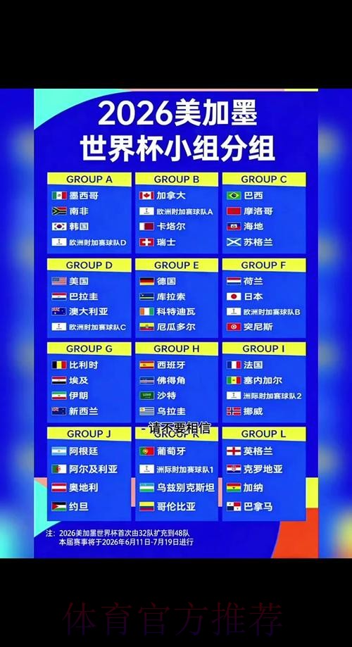 2026年世界杯比分全解析