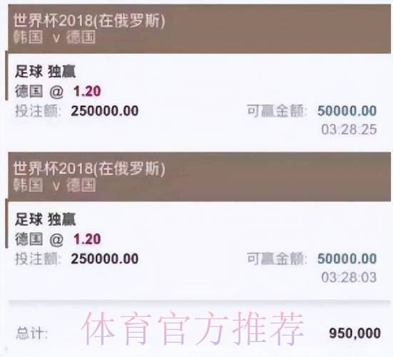 世界杯投注平台深度解析与热门入口推荐